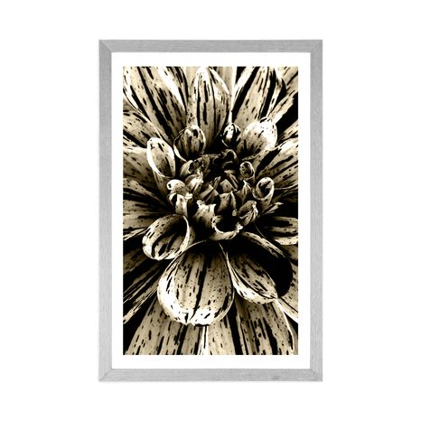 AFFICHE AVEC PASSE-PARTOUT – DAHLIA EXOTIQUE EN SÉPIA - NOIR ET BLANC - AFFICHES