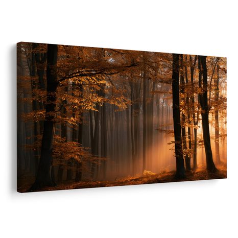 TABLEAU SUR TOILE – LUMIÈRE DORÉE DANS LA FORÊT - TABLEAUX FORÊT - TABLEAUX