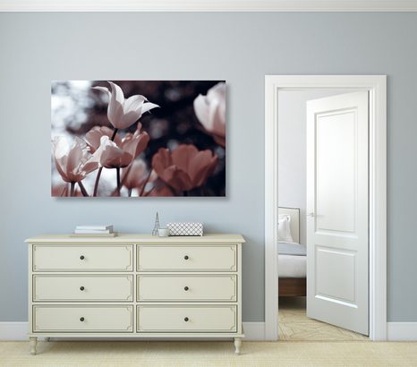 SLIKA SPOMLADANSKI TULIPANI V PARKU - SLIKE ROŽ - SLIKE