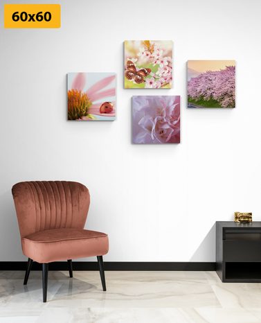 SET OBRAZŮ ROZKVĚT PŘÍRODY - SESTAVY OBRAZŮ - OBRAZY