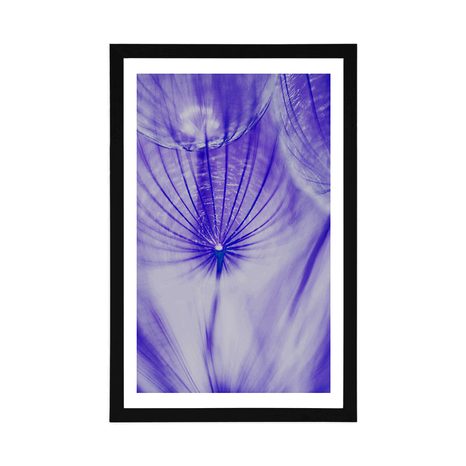 POSZTER PASZPORTUVAL PITYPANG LILA ÁRNYALATBAN - VIRÁGMINTÁS - POSZTEREK