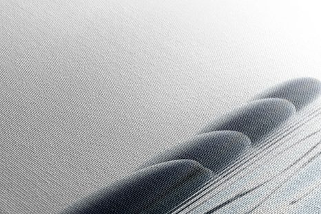 ΕΙΚΌΝΑ ΛΟΥΛΟΥΔΙΟΎ ΛΩΤΟΎ ΚΑΙ ΠΈΤΡΕΣ ΖΕΝ - ΠΊΝΑΚΕΣ ΦΕΝΓΚ ΣΟΎΙ - ΠΊΝΑΚΕΣ