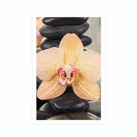 PLAKAT ŽUTA ORHIDEJA I ZEN KAMENJE - FENG SHUI - PLAKATI
