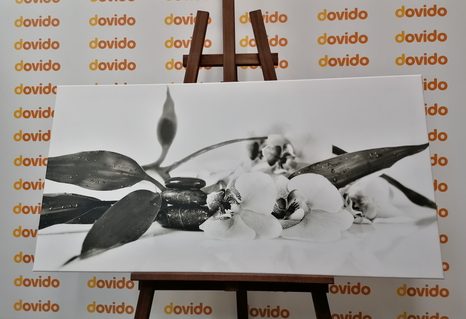 OBRAZ ZÁTIŠÍ S ZEN KAMENY V ČERNOBÍLÉM PROVEDENÍ - ČERNOBÍLÉ OBRAZY - OBRAZY