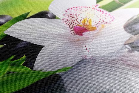 KÉP JAPÁN ORCHIDEA JAPÁN TÉMÁVAL - FENG SHUI KÉPEK - KÉPEK