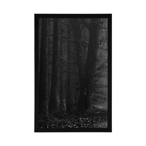 PLAKÁT TĚSTA V LESE V ČERNOBÍLÉM PROVEDENÍ - ČERNOBÍLÉ - PLAKÁTY