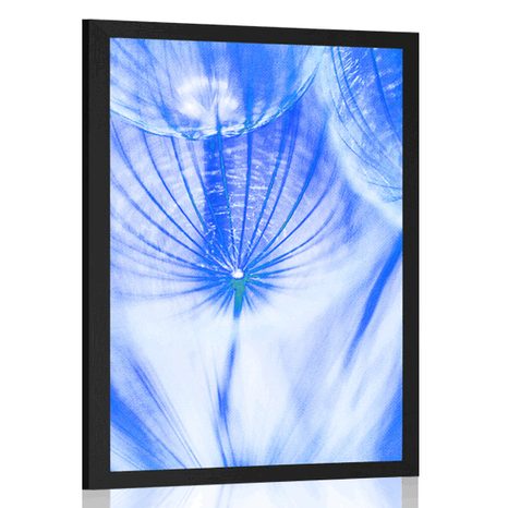 POSTER DANDELION IN BLUE DESIGN - FLOWERS - POSTERS