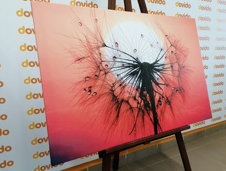 OBRAZ PÚPAVA PRI ZÁPADE SLNKA - OBRAZY KVETOV - OBRAZY