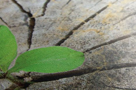 OBRAZ ZROD NOVÉHO ŽIVOTA - OBRAZY PŘÍRODY A KRAJINY - OBRAZY