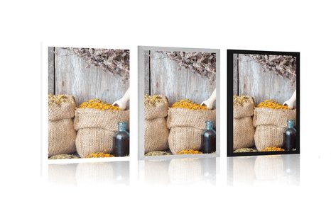 POSTER HEILKRÄUTER - STILLLEBEN - POSTER