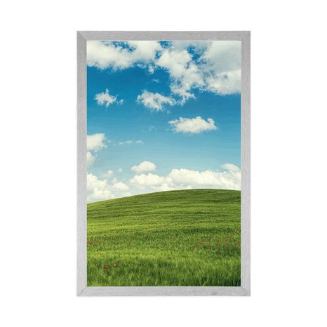 POSTER WUNDERSCHÖNER TAG AUF DER WIESE - NATUR - POSTER