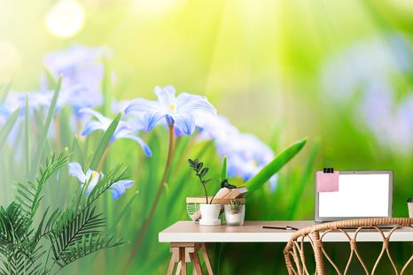 TAPETA KVĚTINY NA LOUCE V JARNÍM OBDOBÍ - TAPETY KVĚTINY - TAPETY