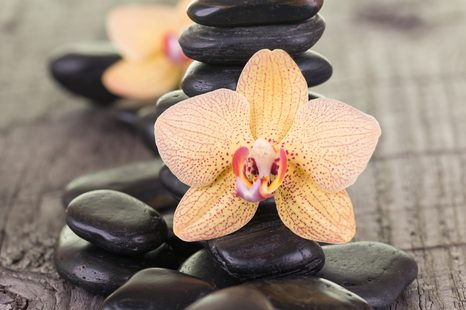 WANDBILD GELBE ORCHIDEE UND ZEN-STEINE - BILDER MIT FENG SHUI-MOTIVEN - BILDER