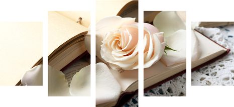 ΕΙΚΌΝΑ 5 ΜΕΡΏΝ VINTAGE ΝΕΚΡΉ ΦΎΣΗ ΜΕ ΚΛΕΙΔΊ - ΠΊΝΑΚΕΣ VINTAGE ΈΝΑ ΡΕΤΡΌ - ΠΊΝΑΚΕΣ