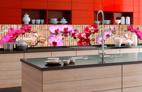 SELF ADHESIVE PHOTO WALLPAPER FOR KITCHEN BEAUTIFUL ORCHID - WALLPAPERS