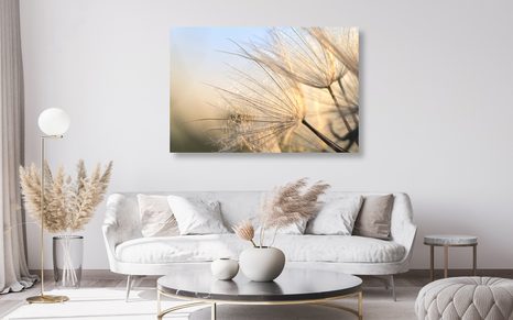 ΕΙΚΌΝΑ ΜΙΑΣ ΠΙΚΡΑΛΊΔΑΣ ΣΕ ΈΝΑ ΧΩΡΆΦΙ ΤΗΝ ΑΝΑΤΟΛΉ ΤΟΥ ΗΛΊΟΥ - ΠΊΝΑΚΕΣ ΑΠΌ ΛΟΥΛΟΎΔΙΑ - ΠΊΝΑΚΕΣ