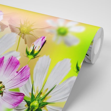 TAPETA ZAHRADNÍ KVĚTINY - TAPETY KVĚTINY - TAPETY