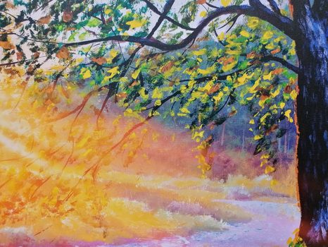 SLIKA IZLAZAK SUNCA U ŠUMI - SLIKE PRIRODE I KRAJOLIKA - SLIKE