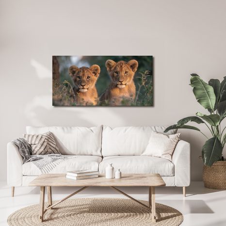 OBRAZ DVOJICE MLADÝCH LVŮ - OBRAZY LVI A TYGŘI - OBRAZY