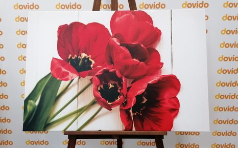 SLIKA CVETOČI RDEČI TULIPANI - SLIKE ROŽ - SLIKE