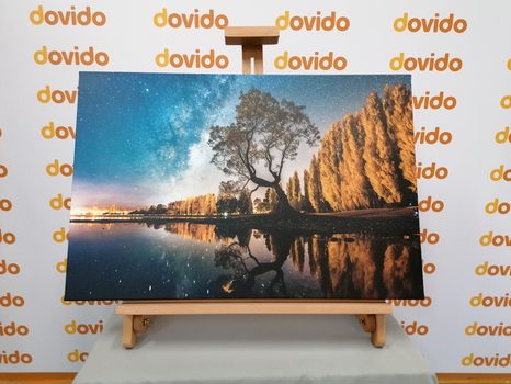 КАРТИНА НА ПЛАТНО – ДЪРВО ПОД ЗВЕЗДНОТО НЕБЕ - КАРТИНИ НА ПРИРОДАТА И ПЕЙЗАЖИ - КАРТИНИ