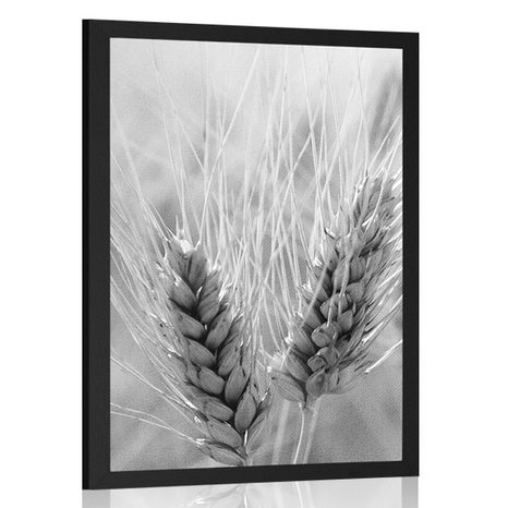 POSTER WHEAT FIELD IN BLACK AND WHITE - BLACK AND WHITE - POSTERS