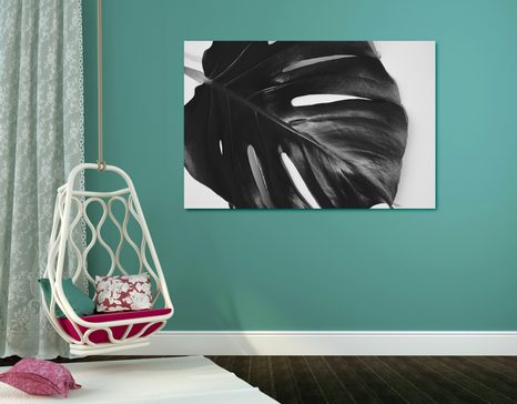 OBRAZ LIST MONSTERY V ČERNOBÍLÉM PROVEDENÍ - ČERNOBÍLÉ OBRAZY - OBRAZY