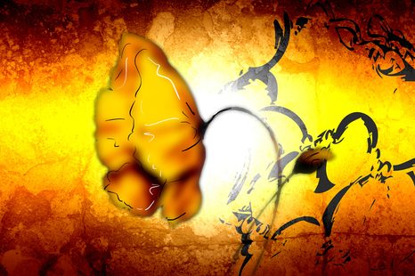 SAMOLEPÍCÍ TAPETA ETNO KVĚT - SAMOLEPÍCÍ TAPETY - TAPETY