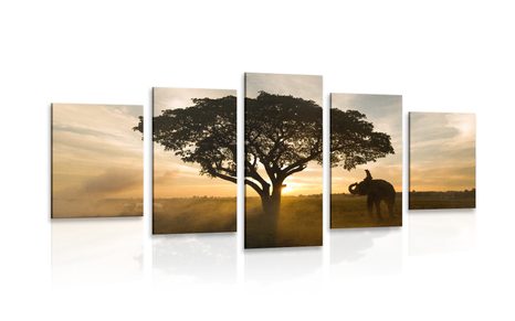 5-PIECE CANVAS PRINT ELEPHANT AT SUNRISE - PICTURES OF NATURE AND LANDSCAPE - PICTURES