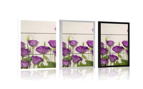 PLAGÁT NÁDHERNÉ FIALOVÉ KVETY - KVETY - PLAGÁTY