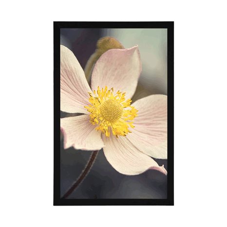 PLAKAT NJEŽNOST CVIJETA - CVIJEĆE - PLAKATI