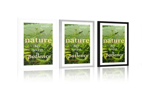 PLAKÁT S PASPARTOU CITÁT V PŘÍRODNÍM STYLU - MOTIVY Z NAŠÍ DÍLNY - PLAKÁTY