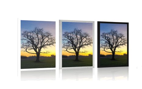 PLAGÁT OČARUJÚCI STROM - PRÍRODA - PLAGÁTY