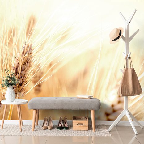 SELF ADHESIVE WALL MURAL WHEAT FIELD - SELF-ADHESIVE WALLPAPERS - WALLPAPERS