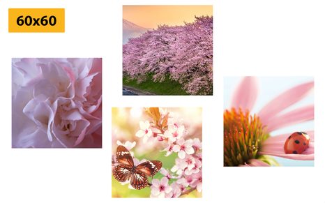 SET OBRAZŮ ROZKVĚT PŘÍRODY - SESTAVY OBRAZŮ - OBRAZY