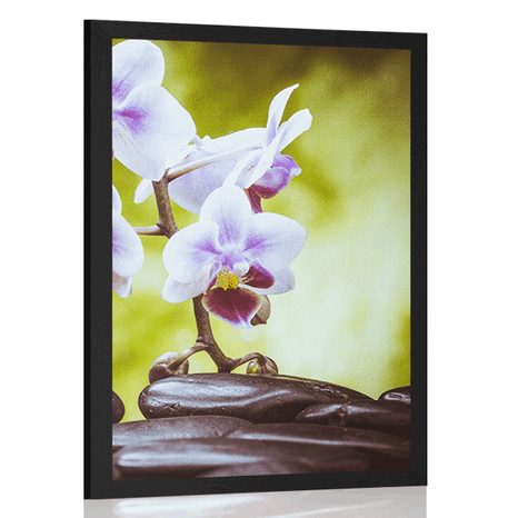 POSTER ZEN STONES AND AN ORCHID - FENG SHUI - POSTERS