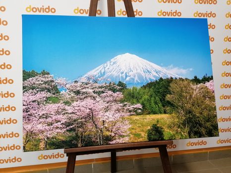 OBRAZ SOPKA FUJI - OBRAZY PRÍRODY A KRAJINY - OBRAZY