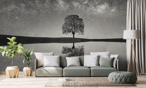 FOTOTAPETA ČERNOBÍLÁ HVĚZDNÁ OBLOHA NAD OSAMĚLÝM STROMEM - ČERNOBÍLÉ TAPETY - TAPETY