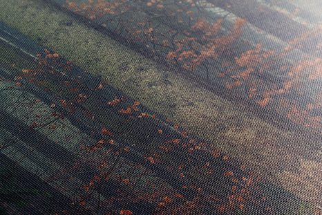 WANDBILD GEHEIMNIS DES WALDES - BILDER VON NATUR UND LANDSCHAFT - BILDER