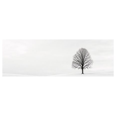 OBRAZ TICHÝ STROM ŽIVOTA NA PLÁNI - TREE OF LIFE - PICTURES