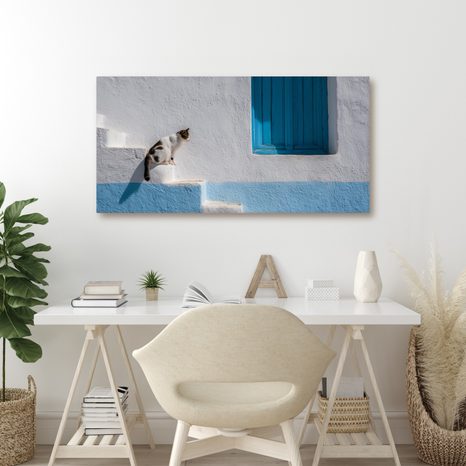 OBRAZ KLIDNÁ KOČKA U OKNA - OBRAZY KOČKY - OBRAZY