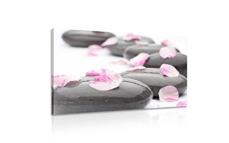 OBRAZ LUPIENKY NA WELLNESS KAMEŇOCH - OBRAZY FENG SHUI - OBRAZY