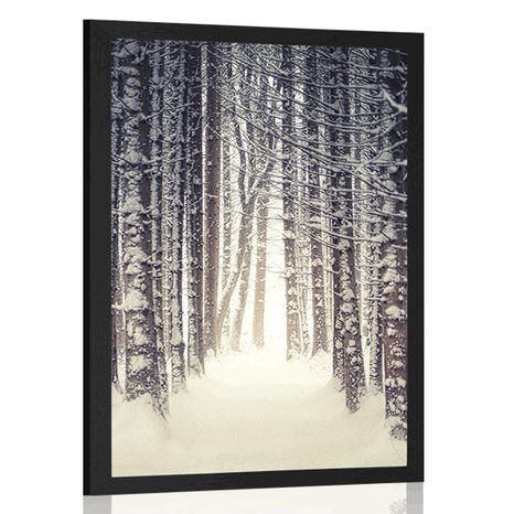 PLAKAT ŠUMA OBAVIJENA SNIJEGOM - PRIRODA - PLAKATI