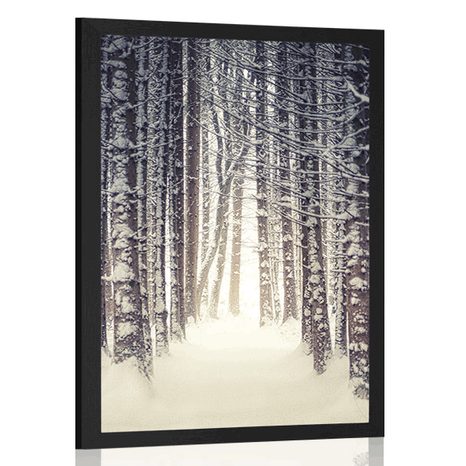 POSTER SCHNEEBEDECKTER WALD - NATUR - POSTER