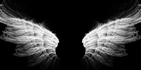 TABLOU ARIPI DE ÎNGER ALB-NEGRU - TABLOURI ALB-NEGRU - TABLOURI