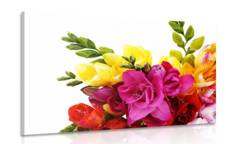 CANVAS PRINT BOUQUET OF COLORFUL FREESIAS - PICTURES FLOWERS - PICTURES