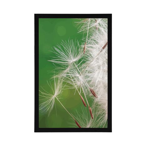 AFFICHE – GRAINES DE PISSENLIT - FLEURS - AFFICHES