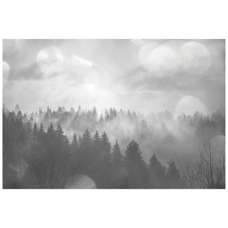 SAMOLEPÍCÍ FOTOTAPETA ČERNOBÍLÁ MLHA NAD LESEM - SAMOLEPÍCÍ TAPETY - TAPETY