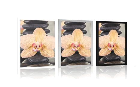 PLAKAT ŽUTA ORHIDEJA I ZEN KAMENJE - FENG SHUI - PLAKATI