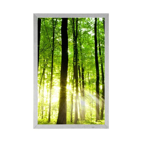 PLAGÁT SVIEŽI ZELENÝ LES - PRÍRODA - PLAGÁTY